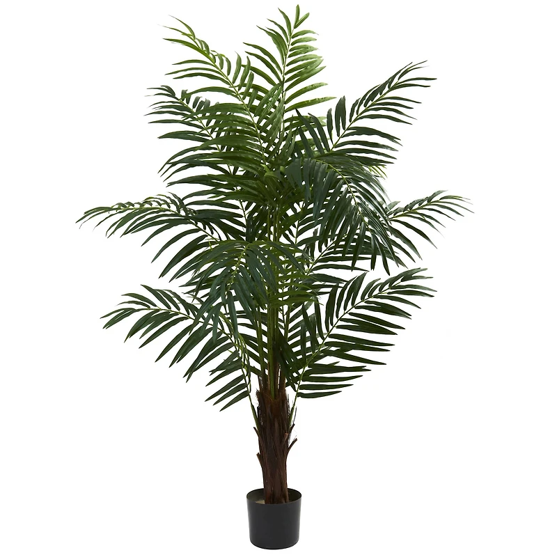 5ft. Potted Green Areca Palm Tree