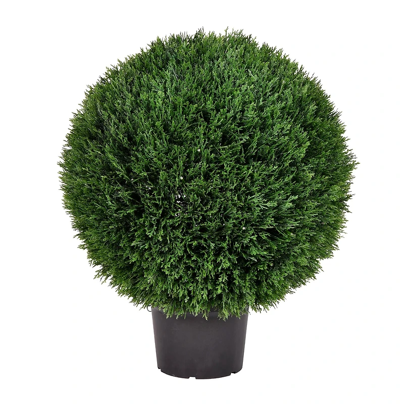 2ft. Potted Green Cedar Ball