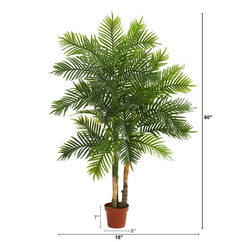 5ft. Potted Areca Palm Tree