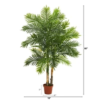 5ft. Potted Areca Palm Tree