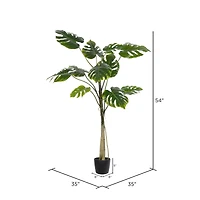 4.5ft. Potted Grand Split Philodendron Tree