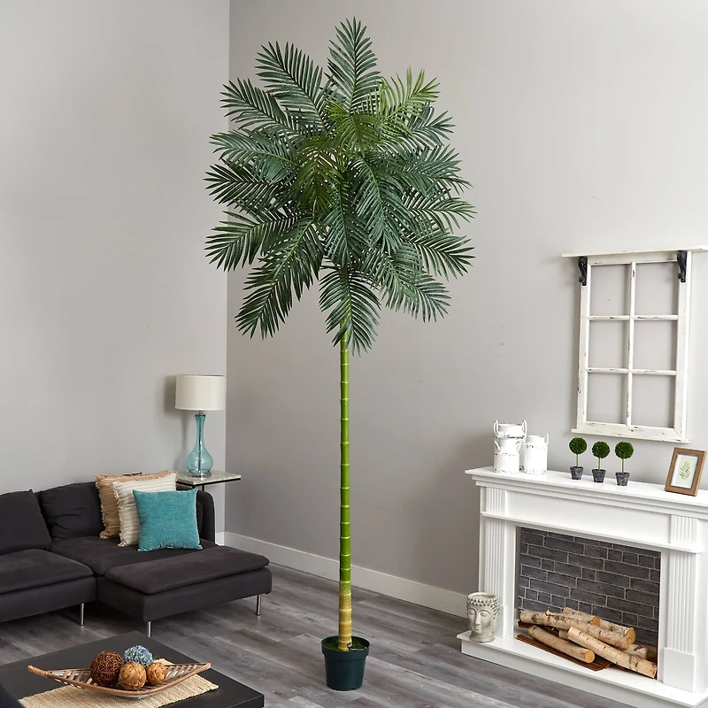 10ft. Potted Golden Cane Palm Tree