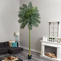 10ft. Potted Golden Cane Palm Tree