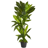3ft. Dracaena Artificial Plant (Real Touch)