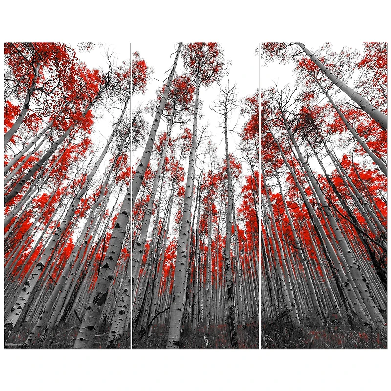 Designart - Red Leaf Trees in Tall Forest