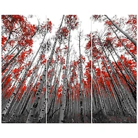 Designart - Red Leaf Trees in Tall Forest