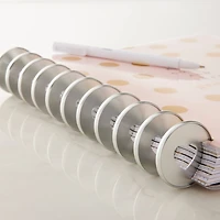 The Happy Planner® Expander Metal Discs, Silver