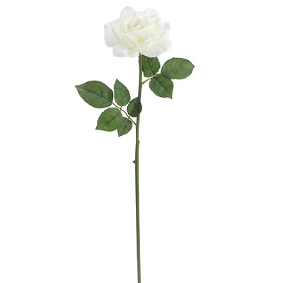 6 Pack: White Rose Stem by Ashland®
