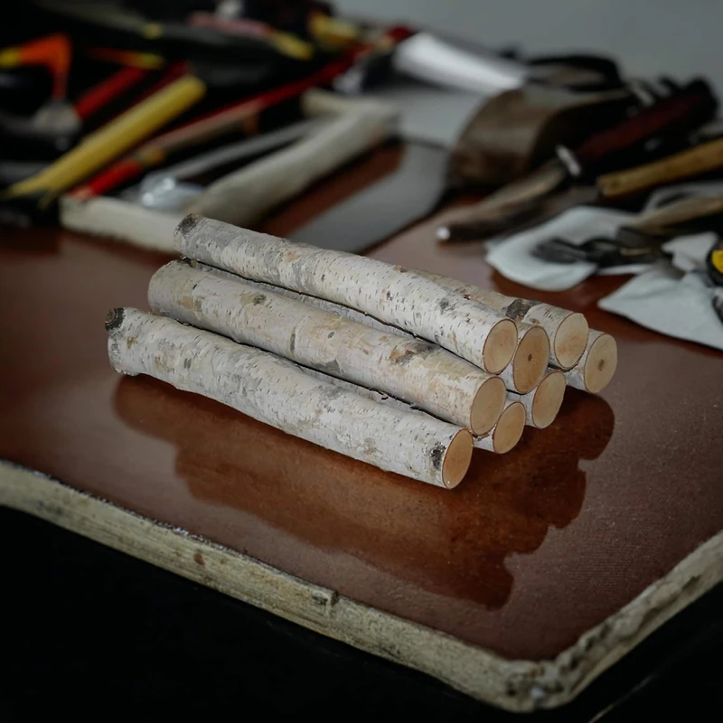 Wilson® Enterprises 23" to 24" White Birch Log Bundle