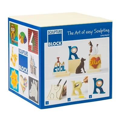 6" x 6" Sculpture Block Set, 6ct.