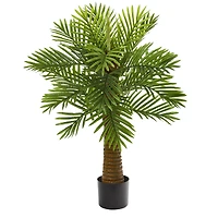 3ft. Potted Date Palm Tree