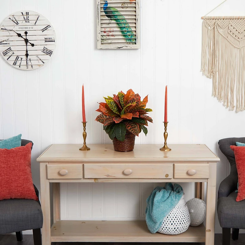 17" Garden Croton Plant in Basket