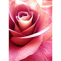 Crafting Spark Pink Rose Diamond Painting Kit