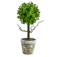 15" Potted Eucalyptus Topiary Tree