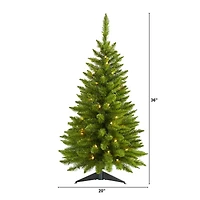 3ft. Pre-Lit Providence Pine Artificial Christmas Tree, Warm White LED Lights
