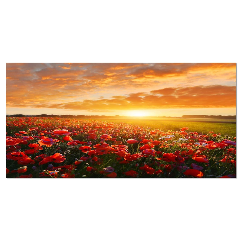 Designart - Beautiful Poppy Field at Sunset - Oversized Abstract Canvas Art Print