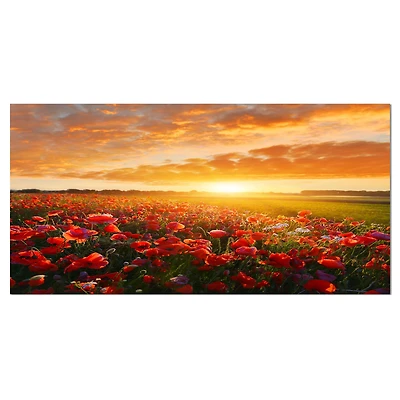 Designart - Beautiful Poppy Field at Sunset - Oversized Abstract Canvas Art Print