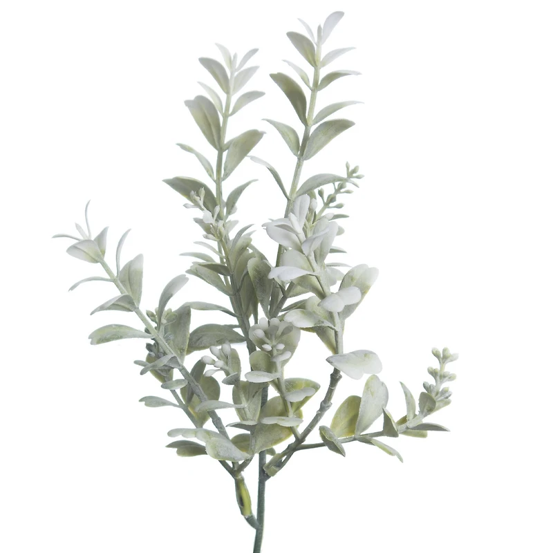 12" Green & Cream Boxwood Pick by Ashland®