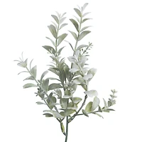 12" Green & Cream Boxwood Pick by Ashland®