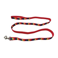 Best Furry Friends Pride Leash