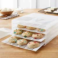 Treat Carrier by Celebrate It™