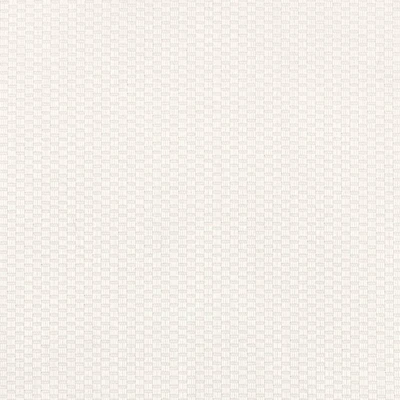 Ivory/Ecru Cotton Pique