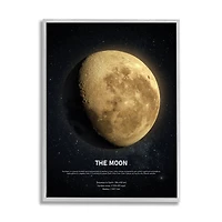 Stupell Industries Earth's Moon Celestial Facts Wall Art in Frame