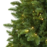 5ft. Pre-Lit Wyoming Fir Artificial Christmas Tree with Clear LED Lights