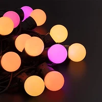 Twinkly™ Gen II 20ct. LED RGB Smart Festoon Light Strings