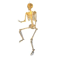 5ft. Warm White LED Skeleton by Ashland®