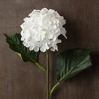 12 Pack: White Hydrangea Spray by Ashland®