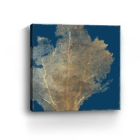 Gold Coral I Canvas Giclee