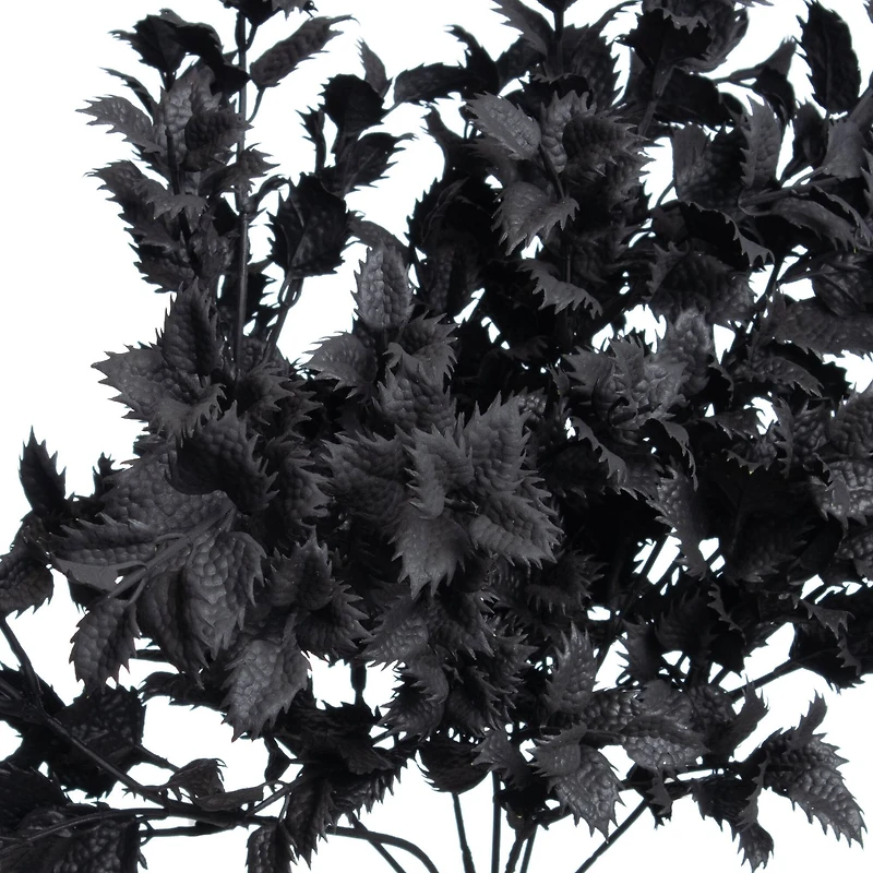 18" Black Lemon Leaf Bush by Ashland®