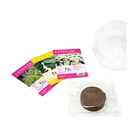 Glass Terrarium - Crystal Glass Garden