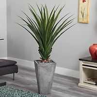 5ft. Spiked Agave Plant in Cement Planter