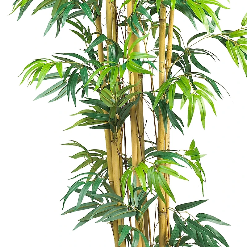 6ft. Potted Bambusa Bamboo Silk Tree