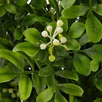 8 Pack: Boxwood & Berry Bush by Ashland®