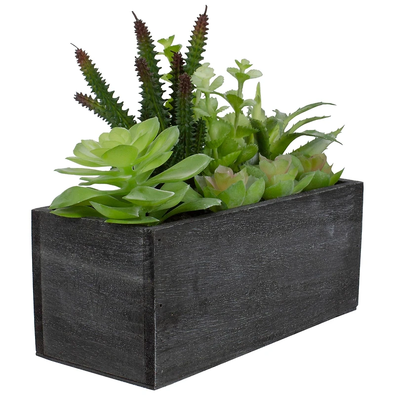 10" Mixed Succulent Plants in Rectangular Planter