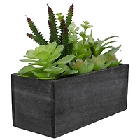 10" Mixed Succulent Plants in Rectangular Planter