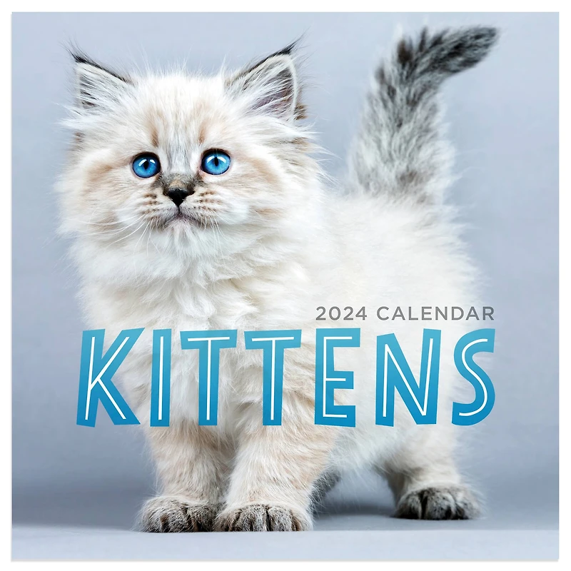 TF Publishing 2024 Kittens Mini Calendar