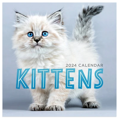 TF Publishing 2024 Kittens Mini Calendar
