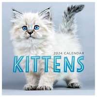 TF Publishing 2024 Kittens Mini Calendar