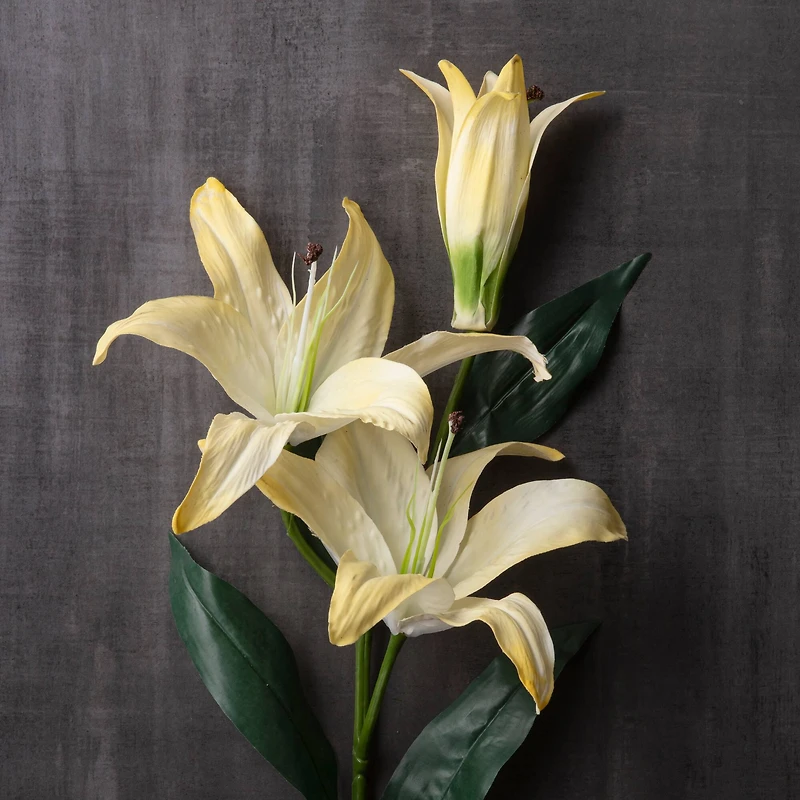 12 Pack: White Casablanca Lily Stem by Ashland®