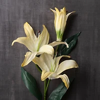 12 Pack: White Casablanca Lily Stem by Ashland®