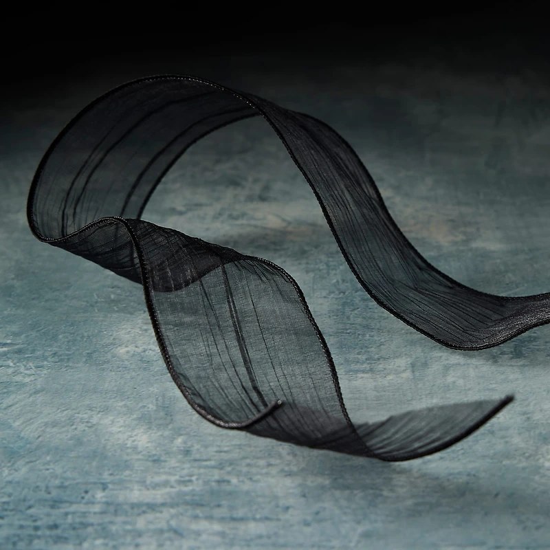 2" x 5yd. Wired Crinkle Sheer Ribbon by Celebrate It