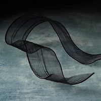 2" x 5yd. Wired Crinkle Sheer Ribbon by Celebrate It