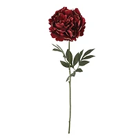 29" Burgundy Peony with Gold Glitter Stem by Ashland®