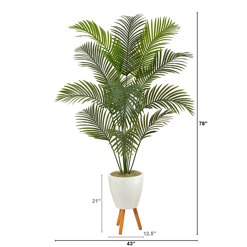 6.5ft. Golden Cane Palm Tree in White Planter with Stand