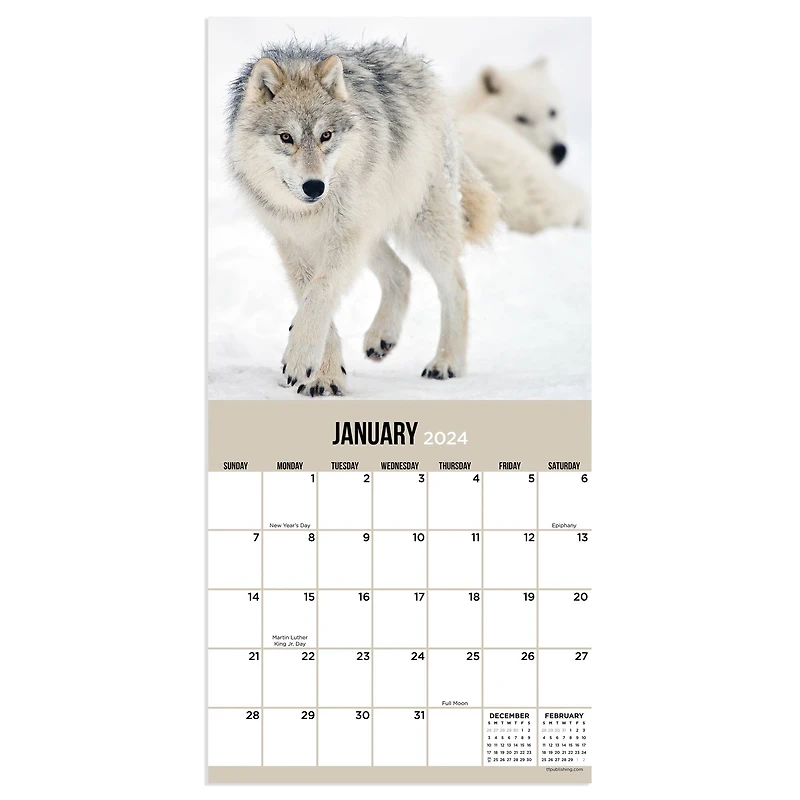 TF Publishing 2024 Wolves Mini Calendar