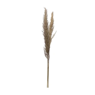 Hello Honey® Dried Natural Pampas Grass Bunch